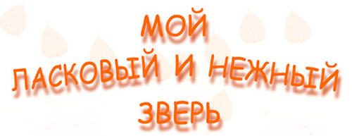  Мой ласковый и нежный зверь